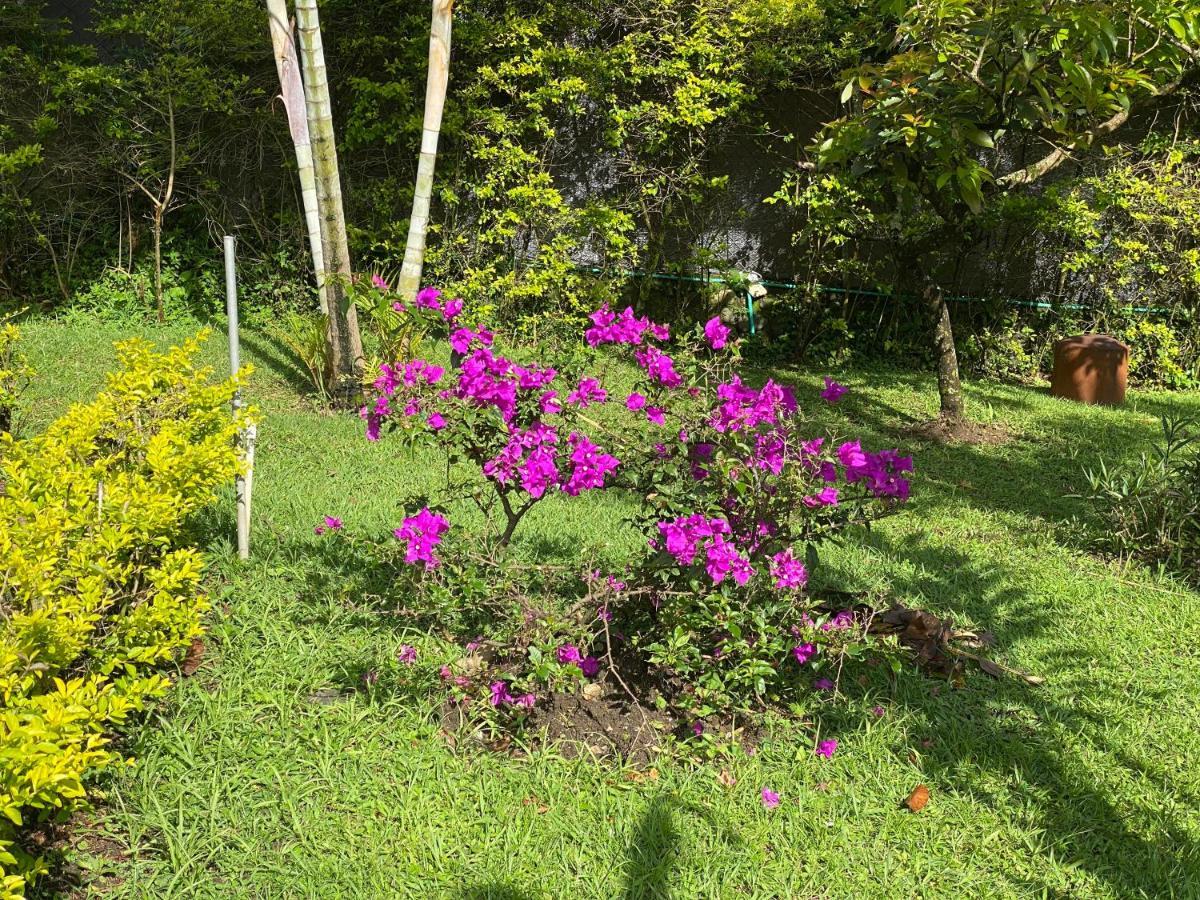Finca Villa Chalet Del Rio Cali Farm Villa Chalet Cali River Екстер'єр фото
